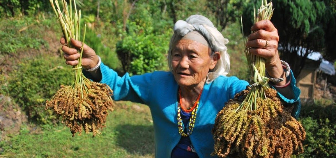 The Role of Indigenous Knowledge in Sustainable Agriculture